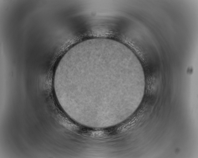 X0000100950309200807011315