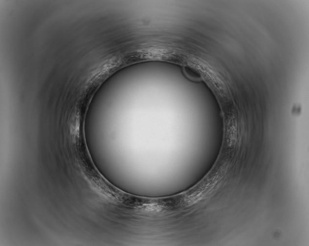 X0000100950310200807011315