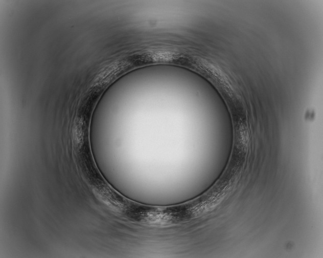 X0000100950311200807011315