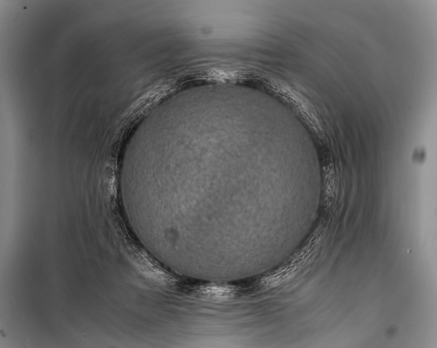X0000100950313200807011315