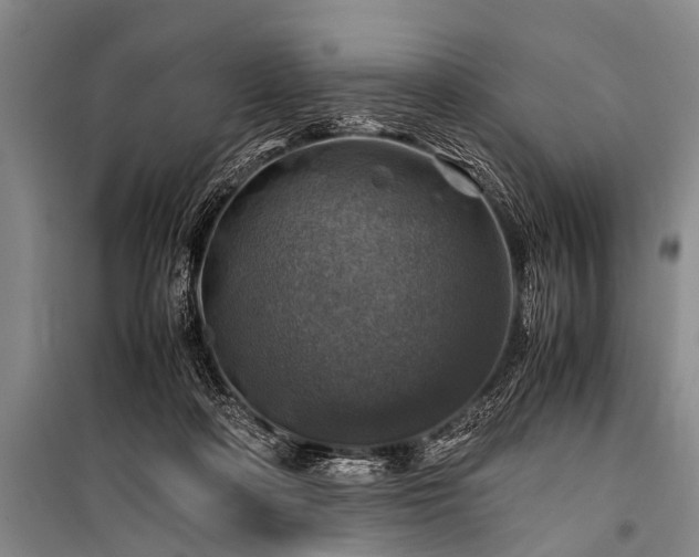 X0000100950314200807011315