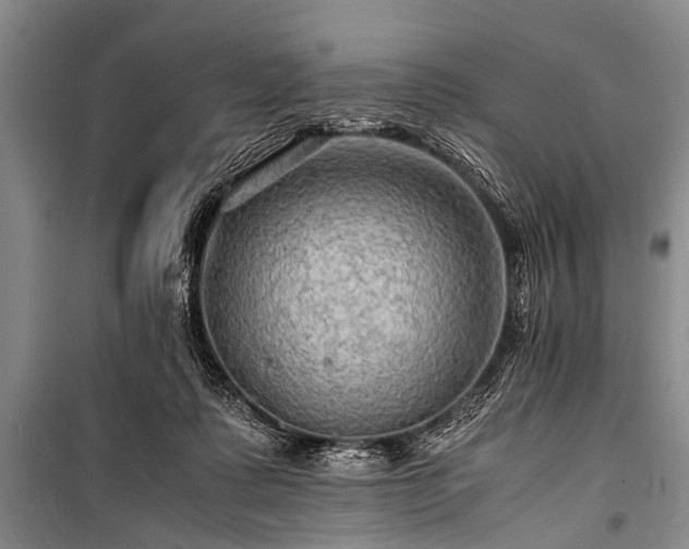 X0000100950315200807011315