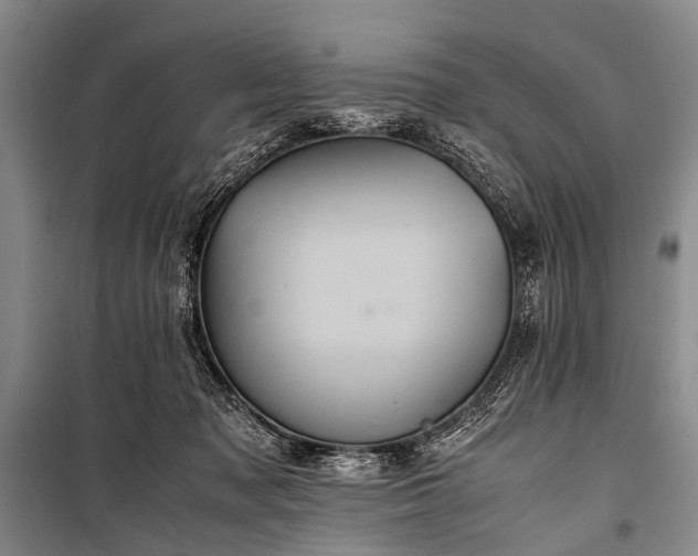 X0000100950317200807011315