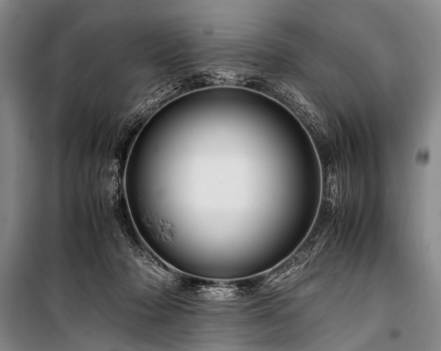 X0000100950318200807011315