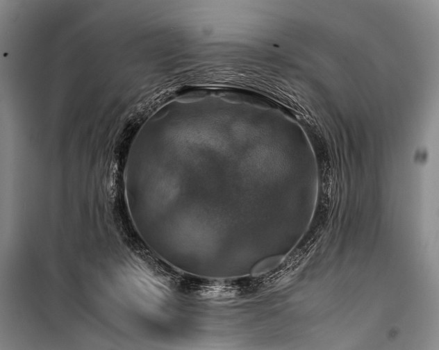 X0000100950319200807011315