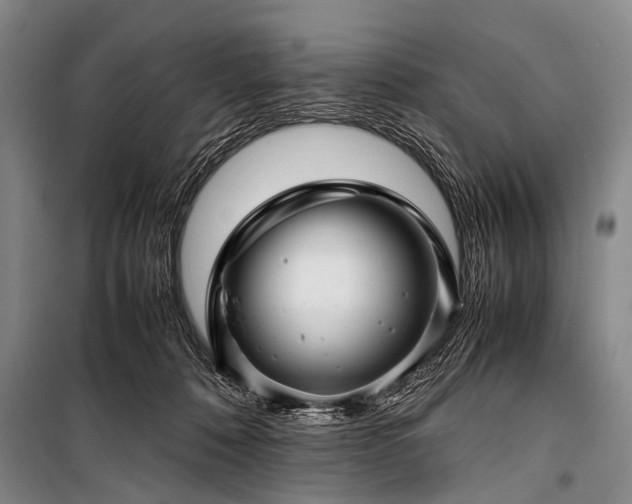 X0000100950320200807011315