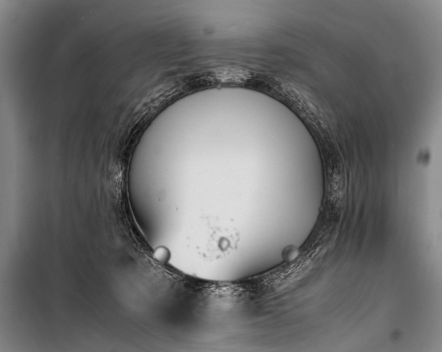 X0000100950321200807011315