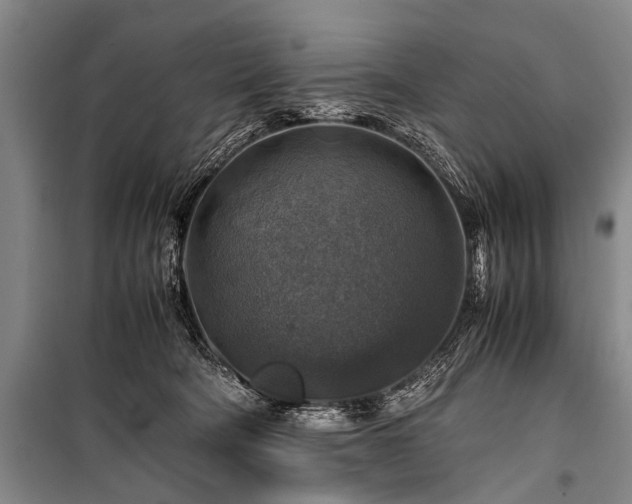 X0000100950322200807011315