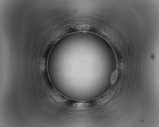 X0000100950323200807011315
