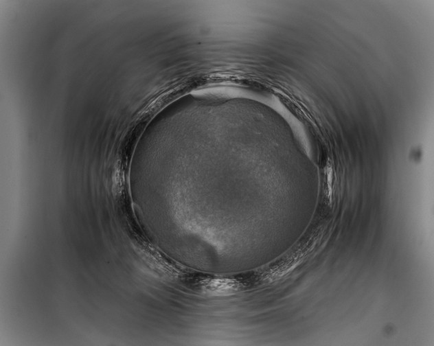 X0000100950324200807011315