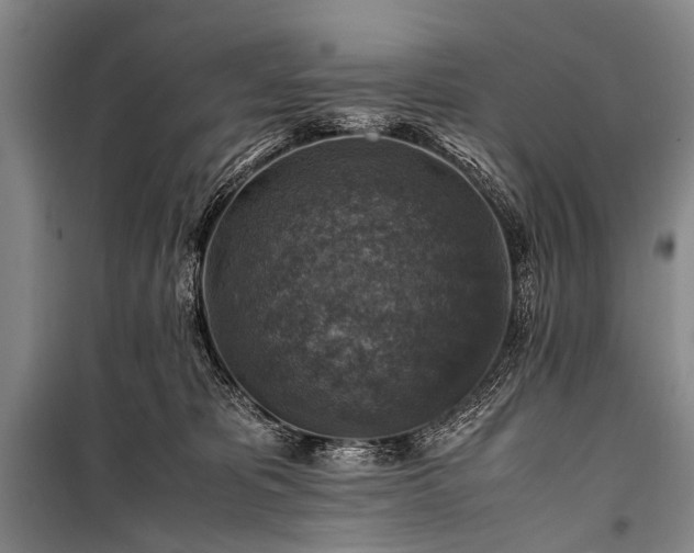X0000100950325200807011315