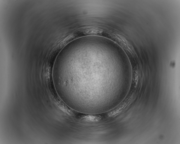 X0000100950326200807011315