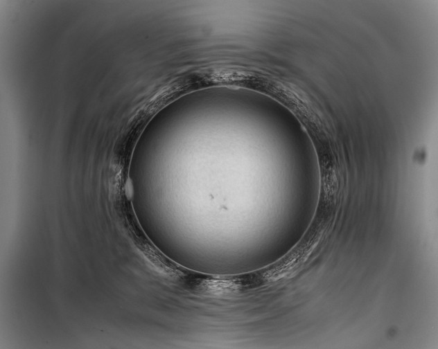 X0000100950327200807011314