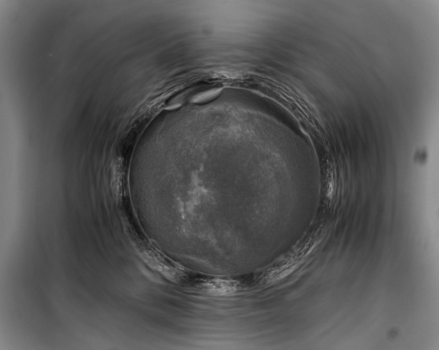 X0000100950328200807011314