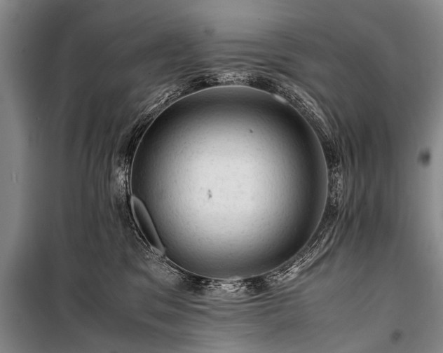 X0000100950329200807011314