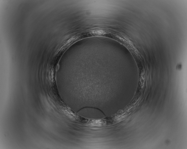 X0000100950330200807011314