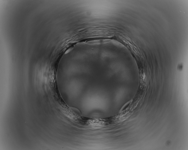 X0000100950331200807011314