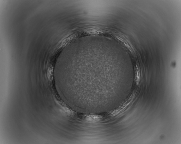X0000100950332200807011314
