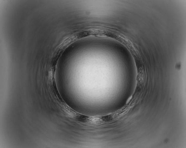 X0000100950333200807011314