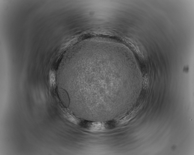 X0000100950335200807011314