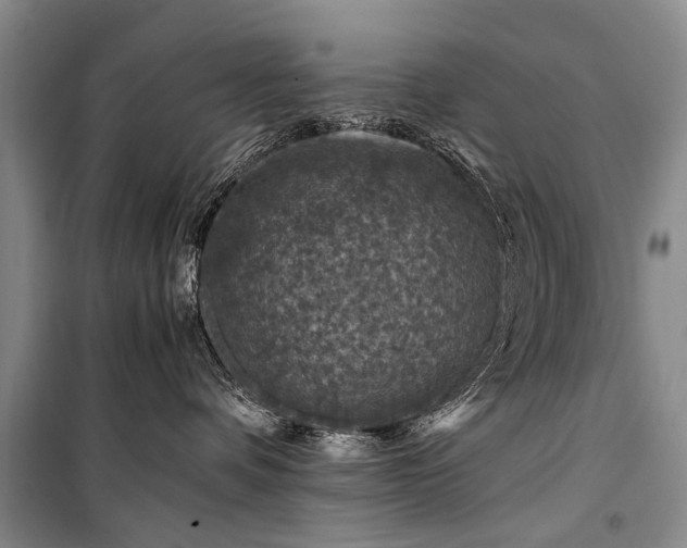 X0000100950336200807011314
