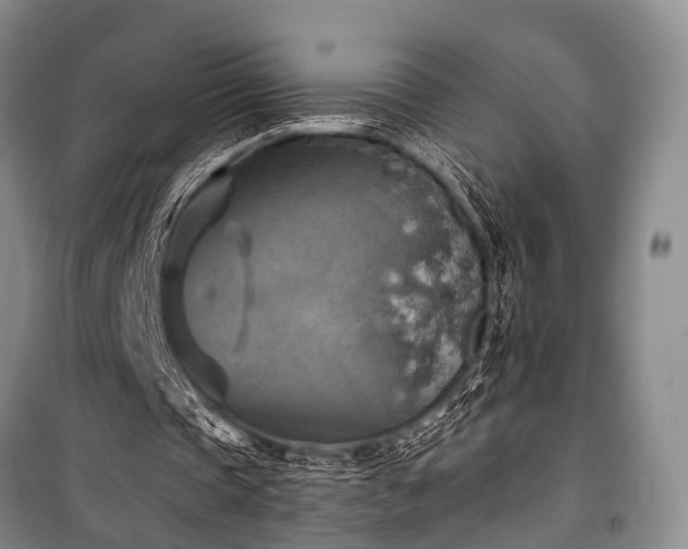 X0000100950337200807011314