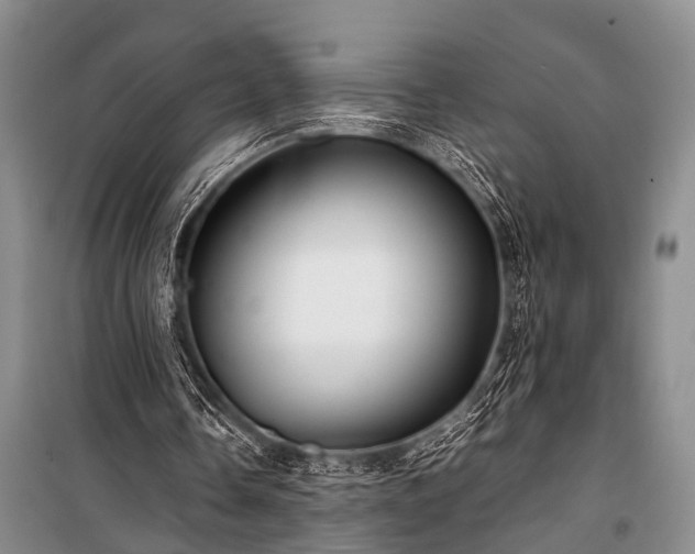 X0000100950338200807011314