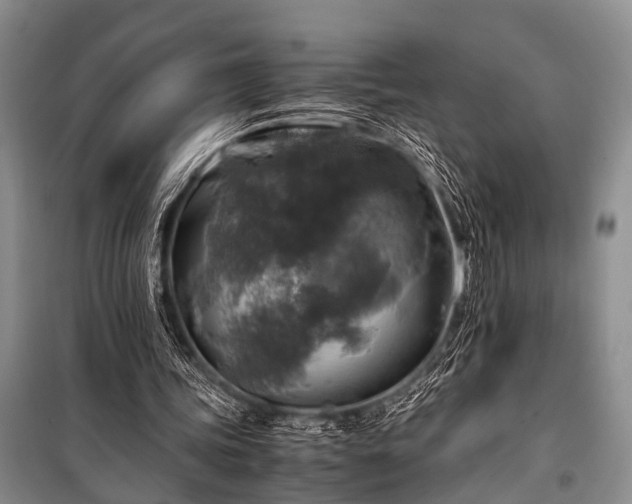 X0000100950339200807011314