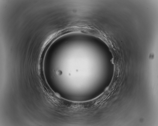 X0000100950340200807011314