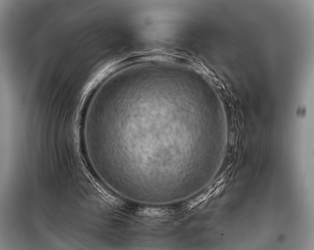 X0000100950341200807011314