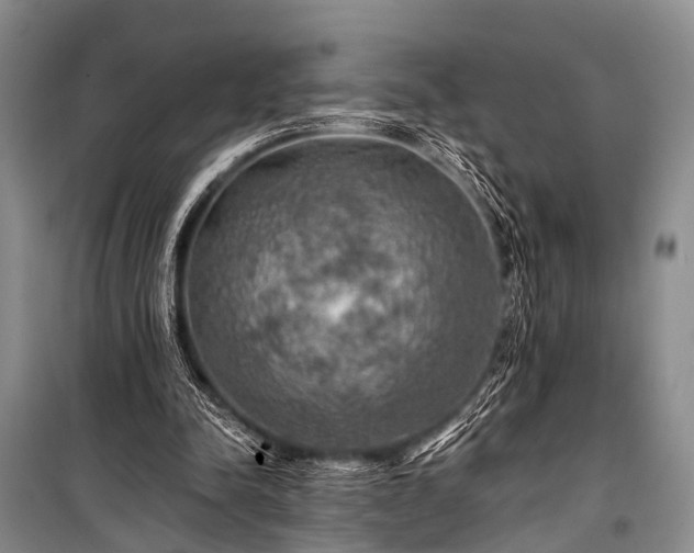 X0000100950342200807011314