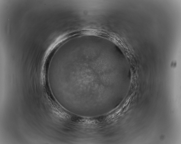 X0000100950343200807011314