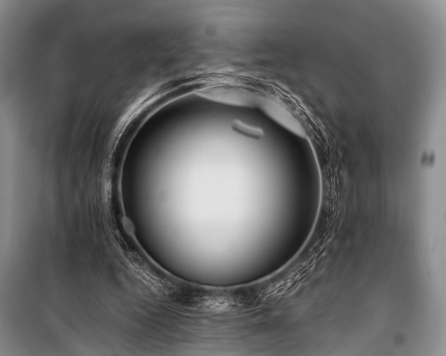 X0000100950344200807011314