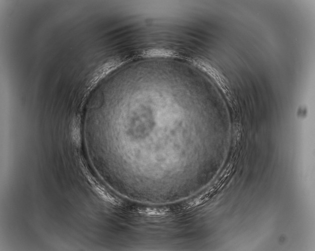 X0000100950345200807011314