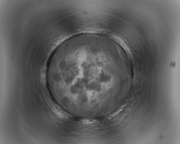 X0000100950346200807011314