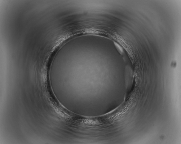 X0000100950347200807011314
