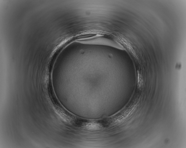 X0000100950348200807011314