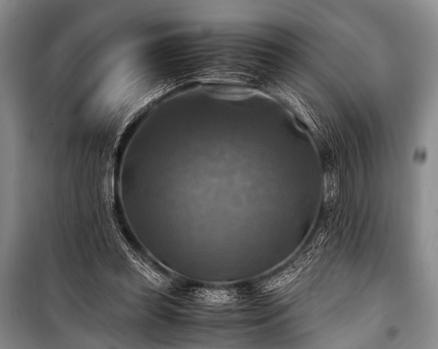 X0000100950349200807011314