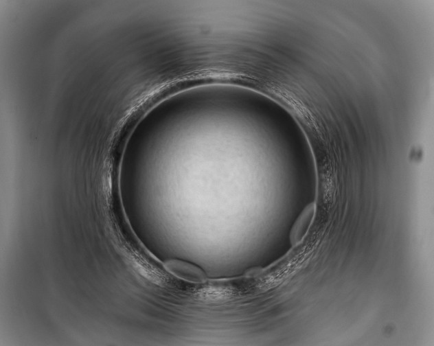 X0000100950350200807011314