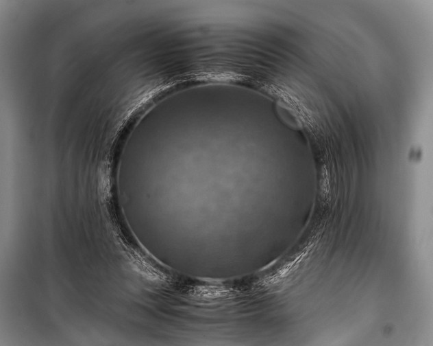 X0000100950351200807011314