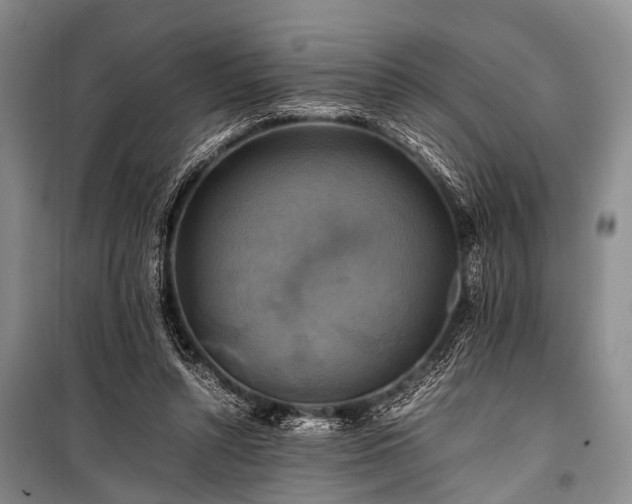 X0000100950352200807011314