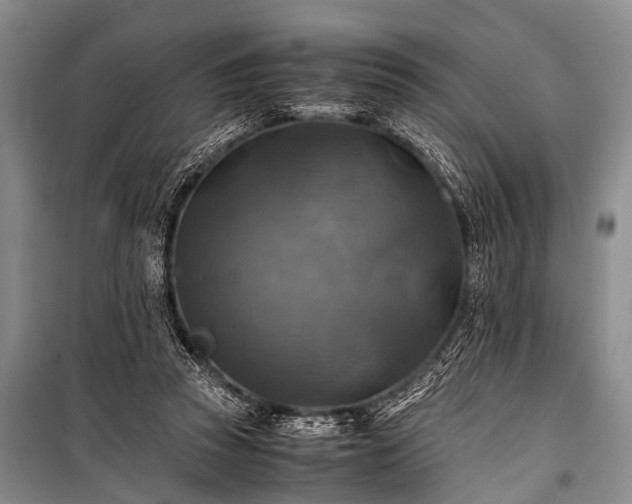 X0000100950353200807011314