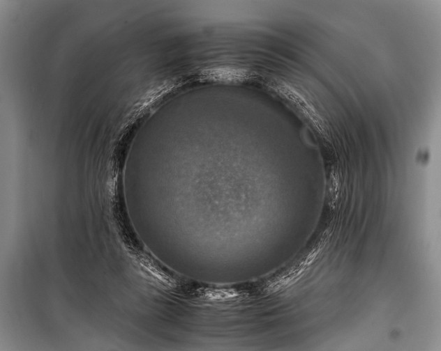 X0000100950355200807011314