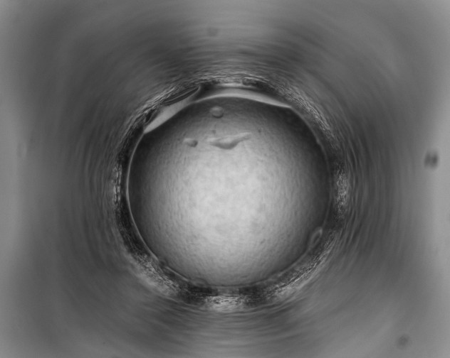 X0000100950356200807011314
