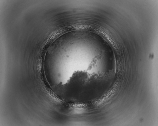 X0000100950357200807011314