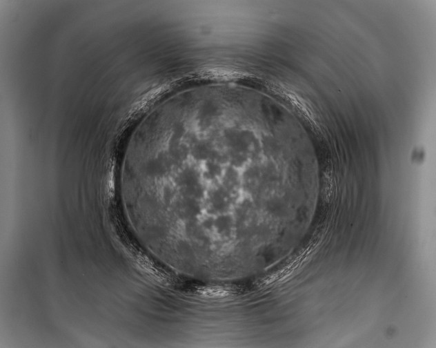 X0000100950358200807011314
