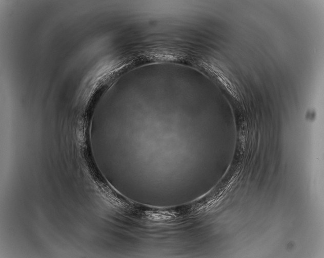 X0000100950359200807011314