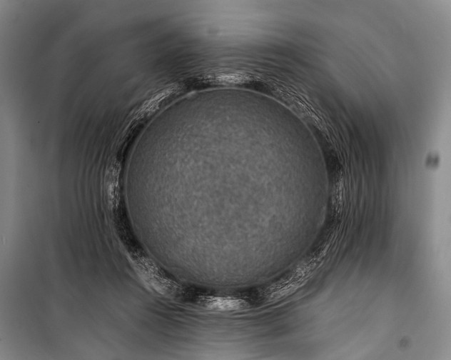 X0000100950360200807011314