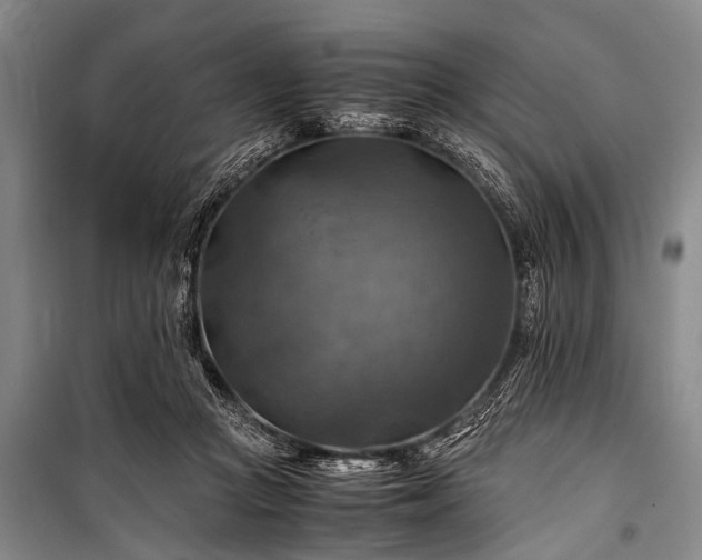 X0000100950361200807011314