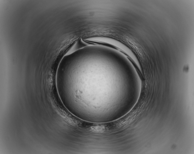 X0000100950362200807011314